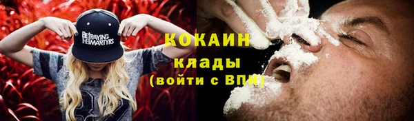 мдпв Каменногорск