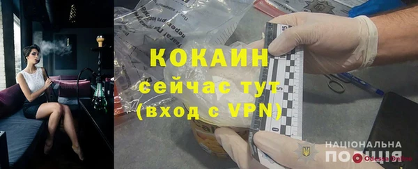 мдпв Каменногорск