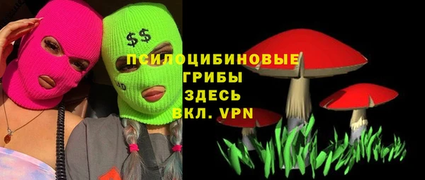 мдпв Каменногорск