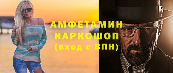 мдпв Каменногорск
