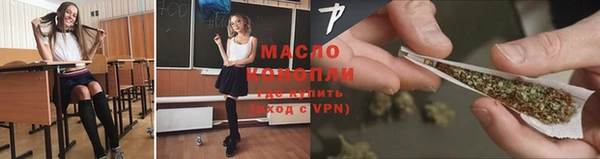 мдпв Каменногорск