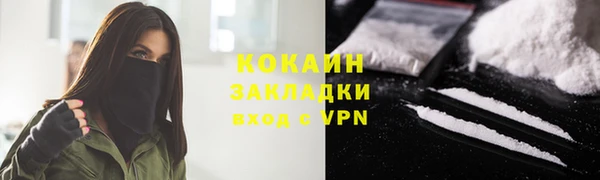 мдпв Каменногорск