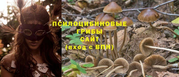 мдпв Каменногорск