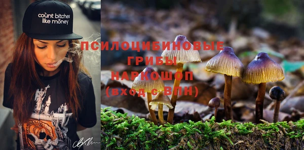 мдпв Каменногорск