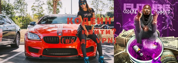 мдпв Каменногорск