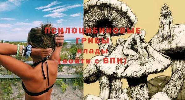 мескалин Каменск-Шахтинский