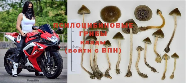 мдпв Каменногорск