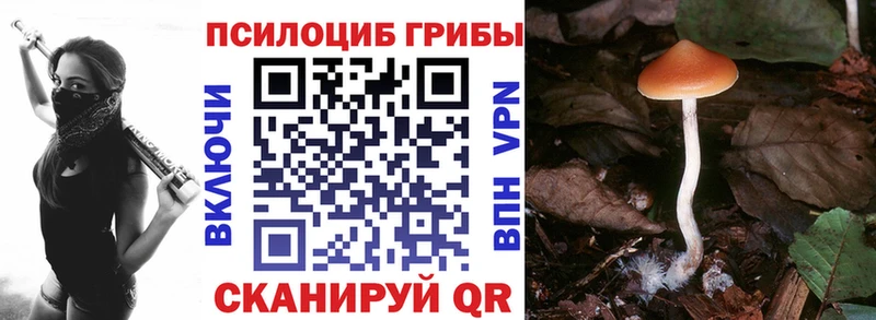 Купить где  Донской  Галлюциногенные грибы Magic Shrooms 