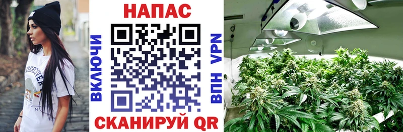 Купить где  Донской  Бошки марихуана AK-47 